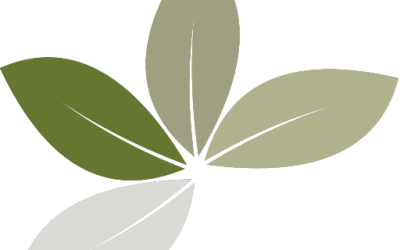 Elsk dit dårlige selvværd